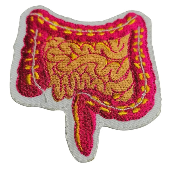 Intestines Human body organs Art clothing Badge Iron on Sew on Embroidered Patch appliqué