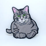 Animal dogs cats snakes honey bee bear spider lamb Iron/Sew on Patches - Tabby Cat - Fun Patches