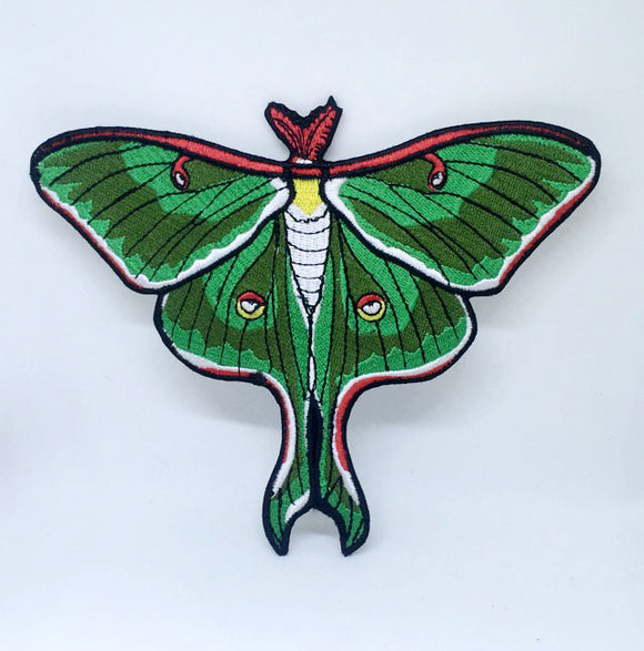Luna Moth Actias Cute Green insect Iron on Sew on Embroidered Patch - Fun Patches